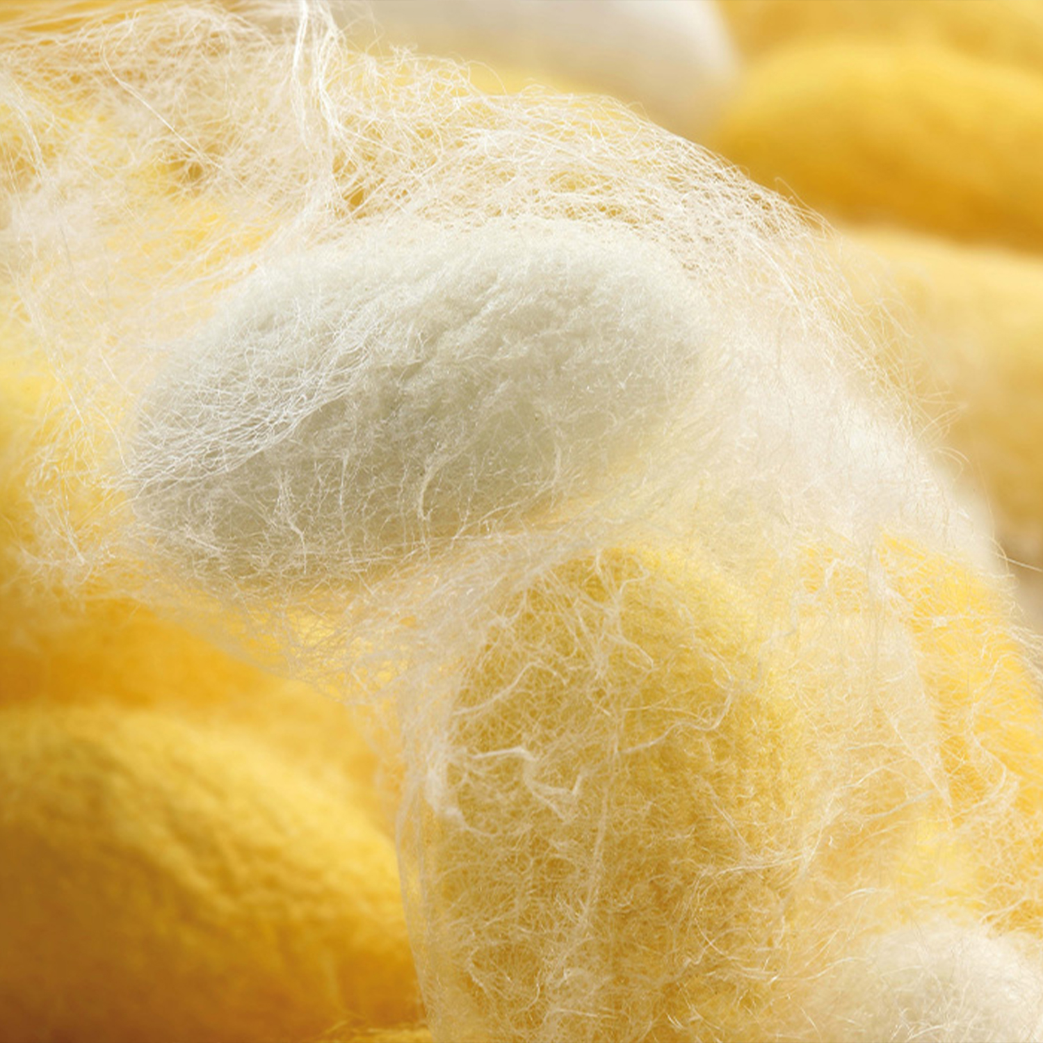 Nachhaltigkeit Seide