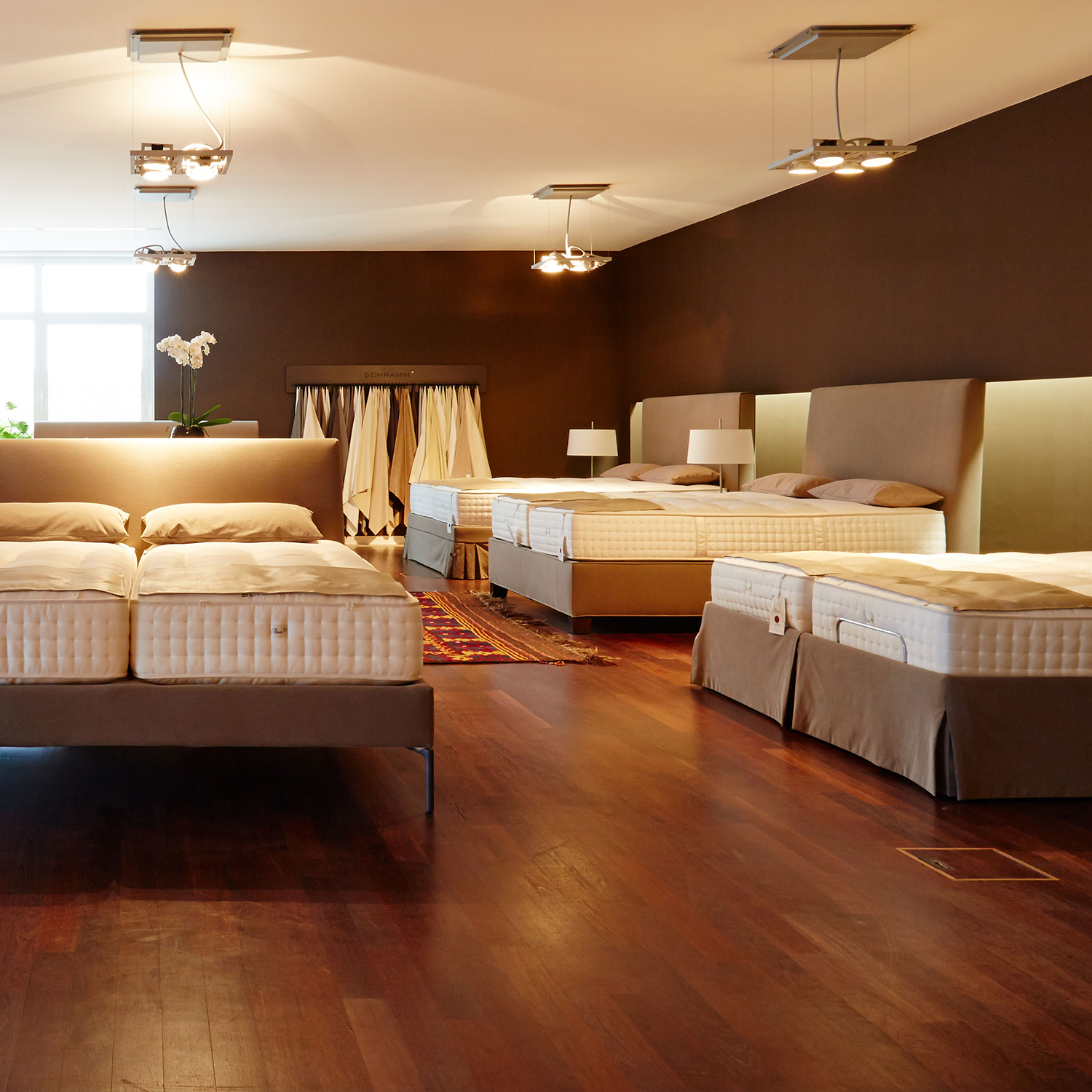 Showroom Probeliegen